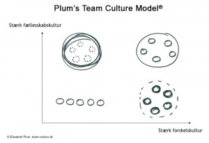 Plum's Team Culture Model